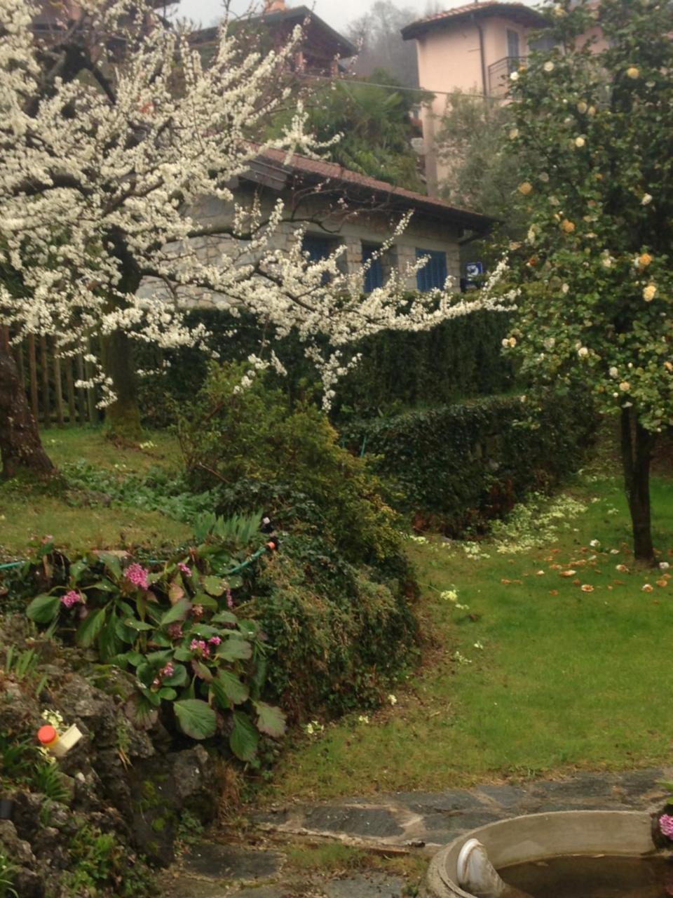 Villa Maria Lago Maggiore Reno Di Leggiuno Exteriör bild