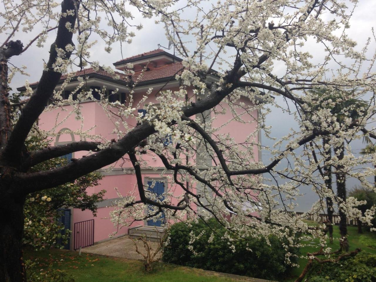 Villa Maria Lago Maggiore Reno Di Leggiuno Exteriör bild